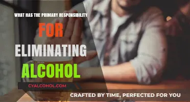 Who Bears the Primary Responsibility for Eliminating Alcohol Consumption?