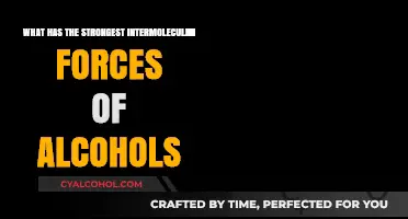 Exploring the Strongest Intermolecular Forces in Alcohol Compounds