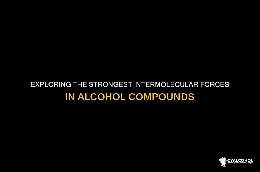 what has the strongest intermolecular forces of alcohols