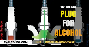 Choosing the Right Heat Range Plug for Alcohol Distillation