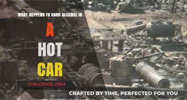Hot Car, Warm Booze: Alcohol's Fate in Heat