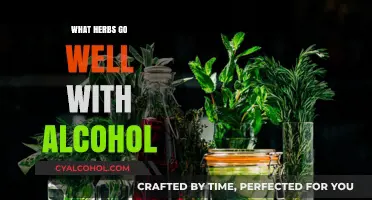 Mixology Magic: Herbs That Elevate Your Alcoholic Beverages