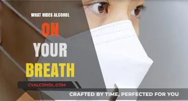 Unveiling the Secrets: What Really Masks Alcohol on Your Breath?
