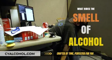 Unveiling Secrets: What Really Masks the Smell of Alcohol?