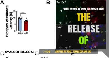 How Alcohol Suppresses Vasopressin Release: Understanding Hormonal Impact