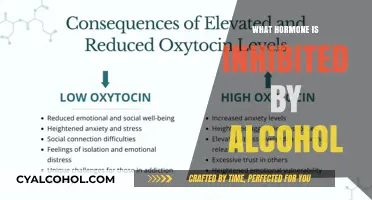 Unveiling the Hormonal Impact: How Alcohol Affects Your Body's Chemistry