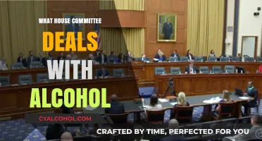 Exploring the Role of the House Judiciary Committee in Alcohol Regulation