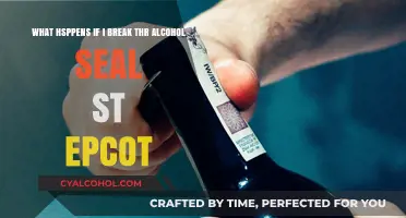 Breaking the Alcohol Seal: EPCOT's Drunken Adventure
