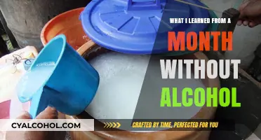 Sober Reflections: Lessons from a Month Without Alcohol
