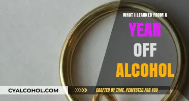 Sobriety's Surprising Gifts: Lessons from a Year Without Alcohol