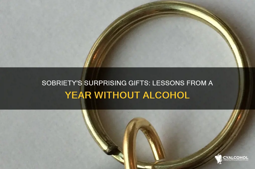 what i learned from a year off alcohol