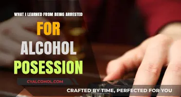 Arrested for Alcohol: My Hard Lessons Learned