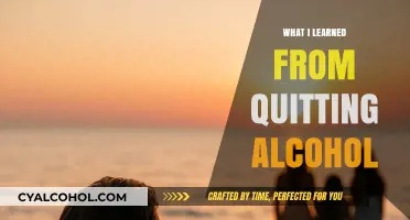 Sober Reflections: My Journey and Lessons from Quitting Alcohol