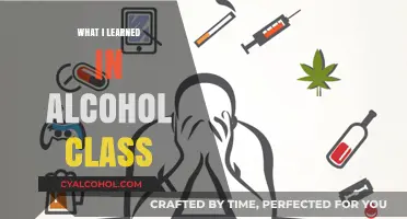 Unveiling Insights: My Journey Through Alcohol Education