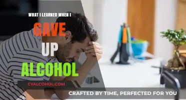 Sober Reflections: Life Lessons After Giving Up Alcohol