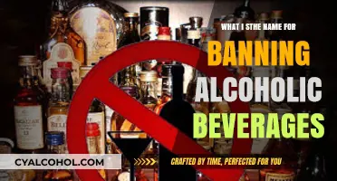 Prohibition: The Historic Ban on Alcoholic Beverages Explained