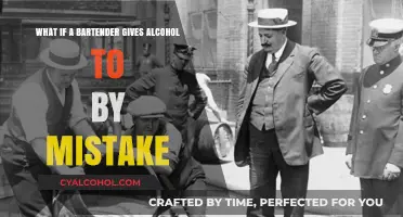Bartender's Error: Serving Alcohol to Minors