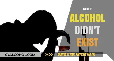 A World Without Alcohol: Imagining a Different Reality