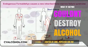 The Sobering Truth: A World Without Alcohol-Destroying Enzymes