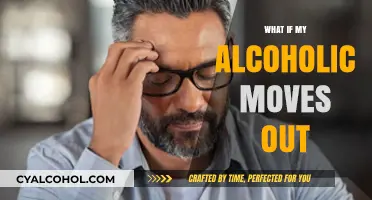 Navigating Sobriety: When Your Alcoholic Partner Moves Out