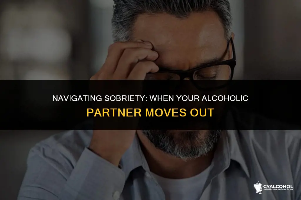 what if my alcoholic moves out