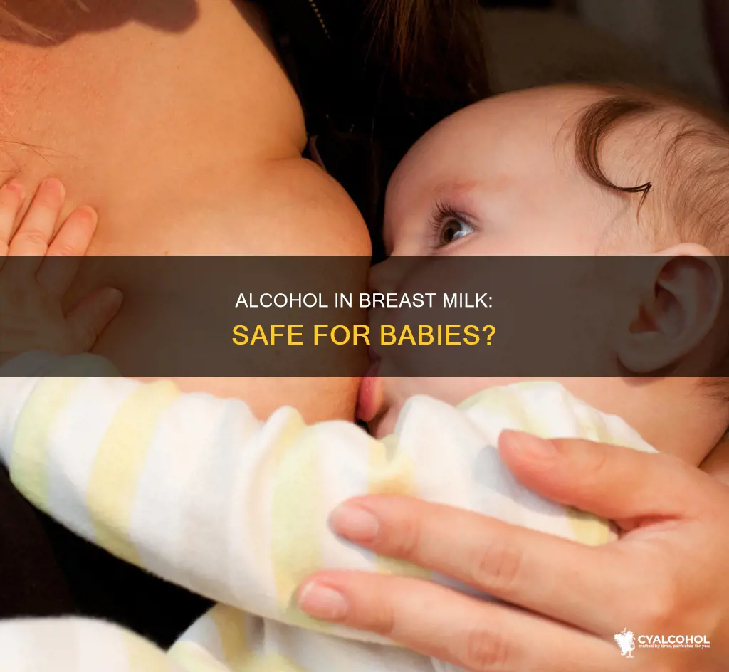 what if my baby drank breast milk with alcohol