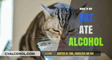 Feline Follies: The Surprising Truth About Cats and Alcohol