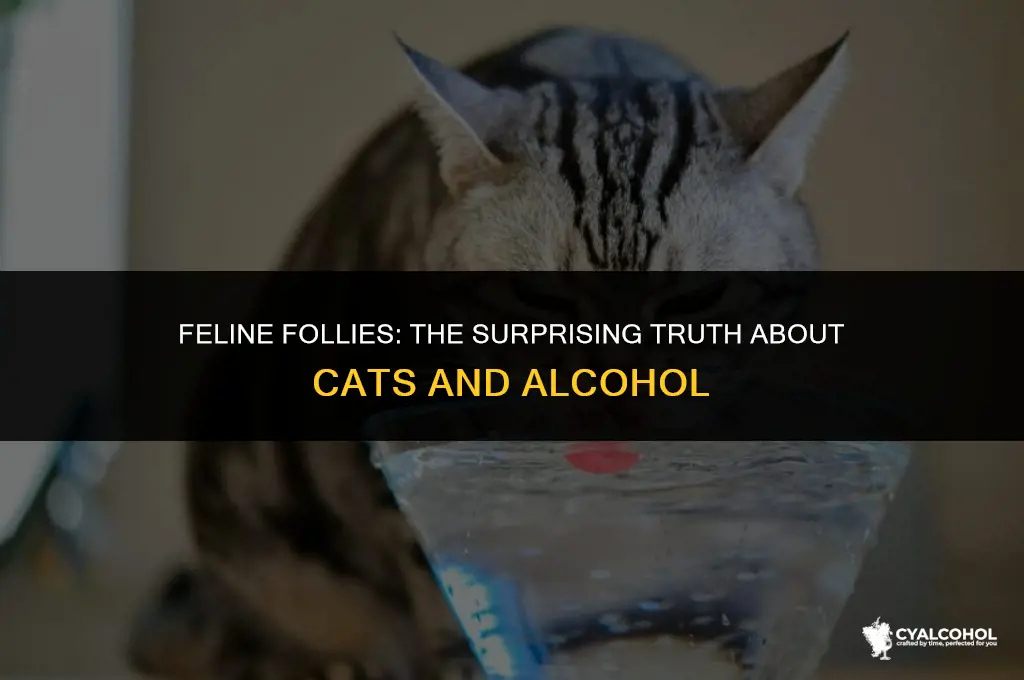 what if my cat ate alcohol