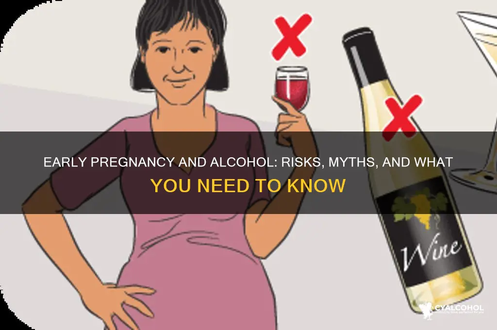 what if you drank alcohol early in pregnancy