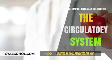 Alcohol's Effect on the Circulatory System