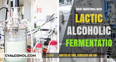 Industries Benefiting from Lactic Alcoholic Fermentation: A Comprehensive Guide