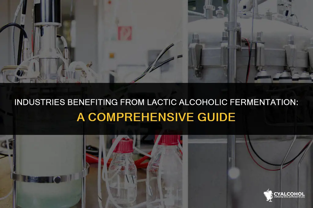 what industries need lactic alcoholic fermentation