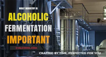 Fermentation's Role: Unveiling the Industries Behind Alcoholic Fermentation