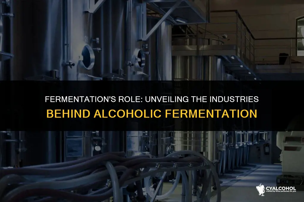 what industry is alcoholic fermentation important