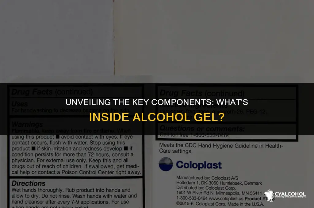 what ingredients are in alcohol gel