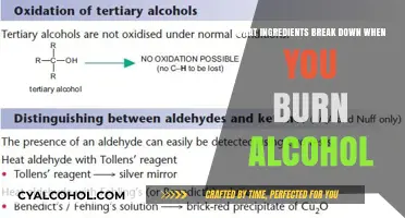 Burning Alcohol: Unveiling the Chemical Breakdown of Its Key Ingredients