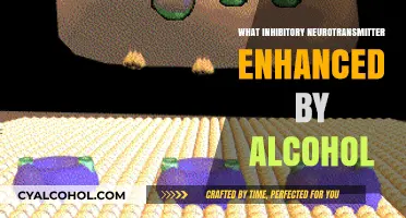 Unveiling the Role of GABA: Alcohol's Inhibitory Neurotransmitter Ally