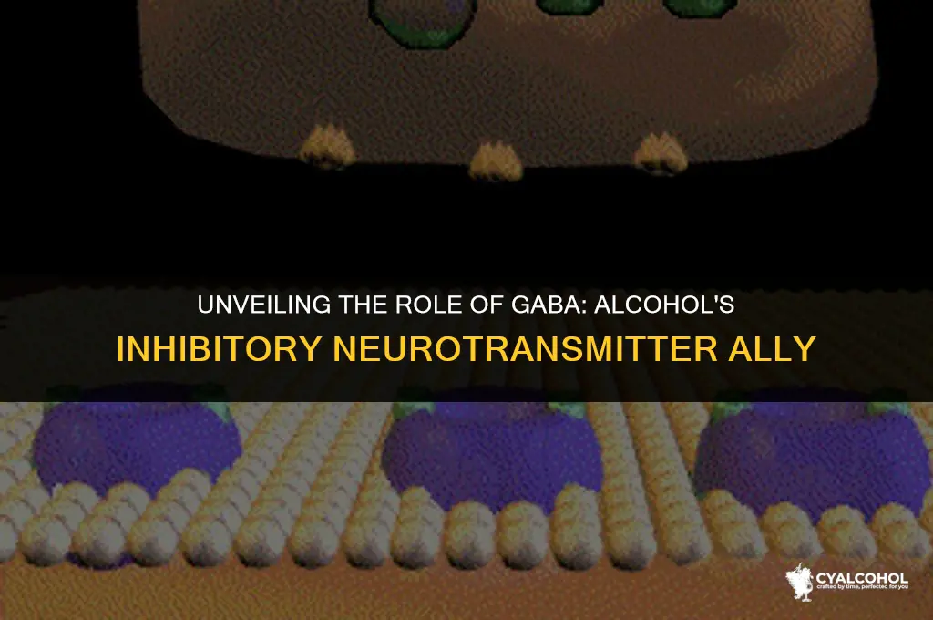 what inhibitory neurotransmitter enhanced by alcohol