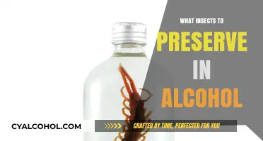 Preserving Nature's Tiny Wonders: A Guide to Insect Conservation in Alcohol