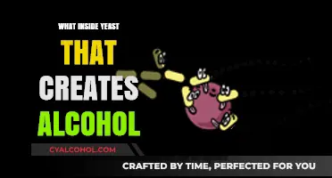 Unlocking the Secrets: Yeast's Role in Alcohol Production Explained