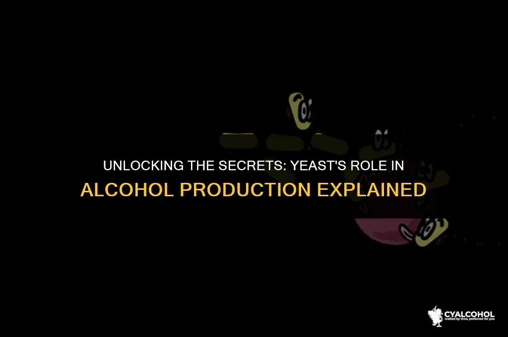 what inside yeast that creates alcohol