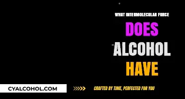 Exploring the Intermolecular Forces in Alcohol Molecules