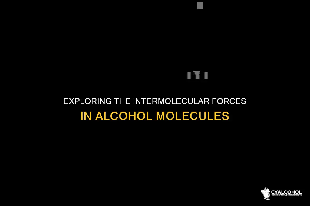 what intermolecular force does alcohol have