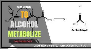 Unveiling the Crucial Role of NAD+ in Alcohol Metabolism