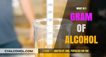 Understanding Alcohol Measurements: What Does 1 Gram Really Mean?