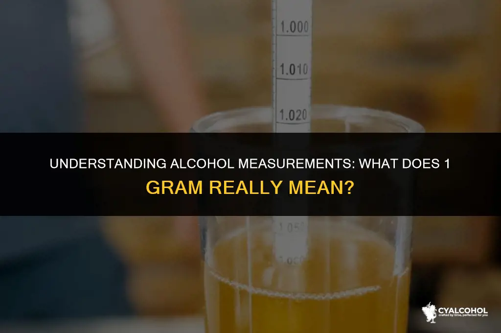 what is 1 gram of alcohol