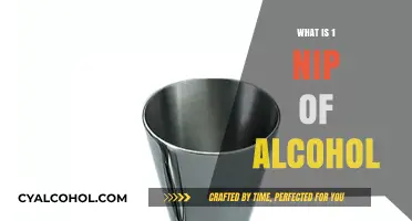 Understanding Alcohol Measurements: What Constitutes One Nip?