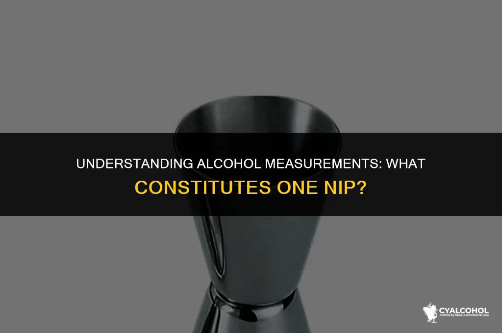 what is 1 nip of alcohol