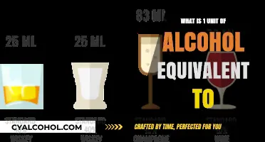 Understanding Alcohol Units: What Does 1 Unit of Alcohol Equal?