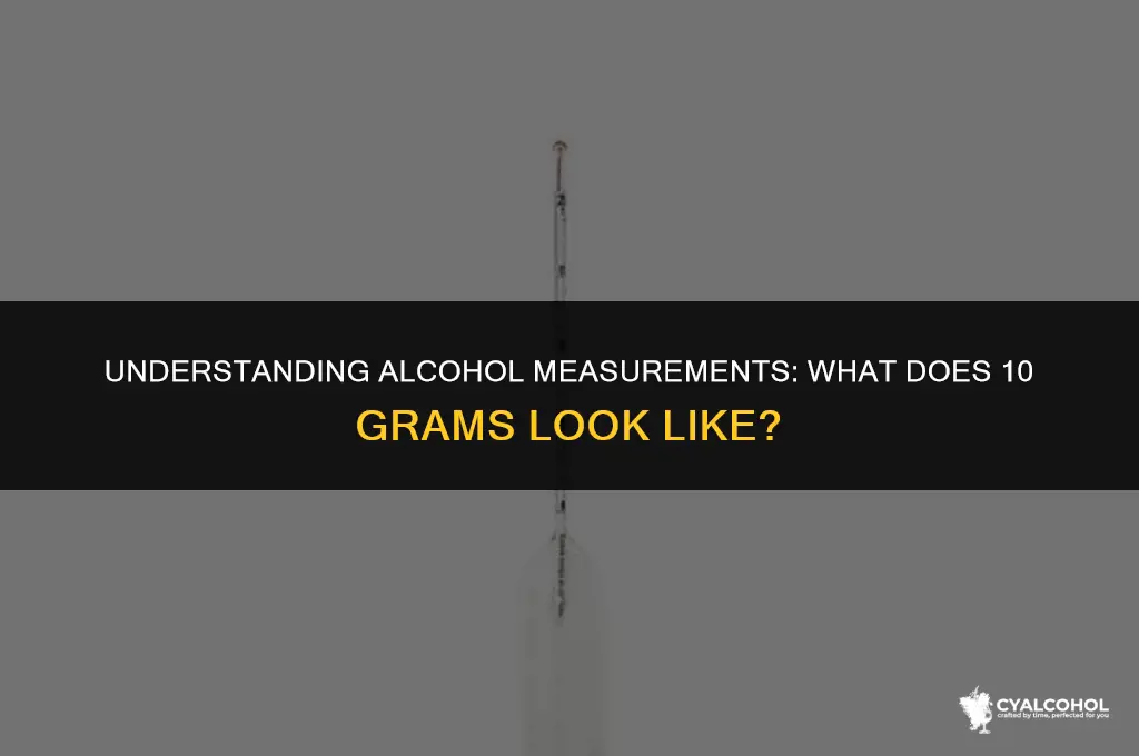 what is 10 grams of alcohol